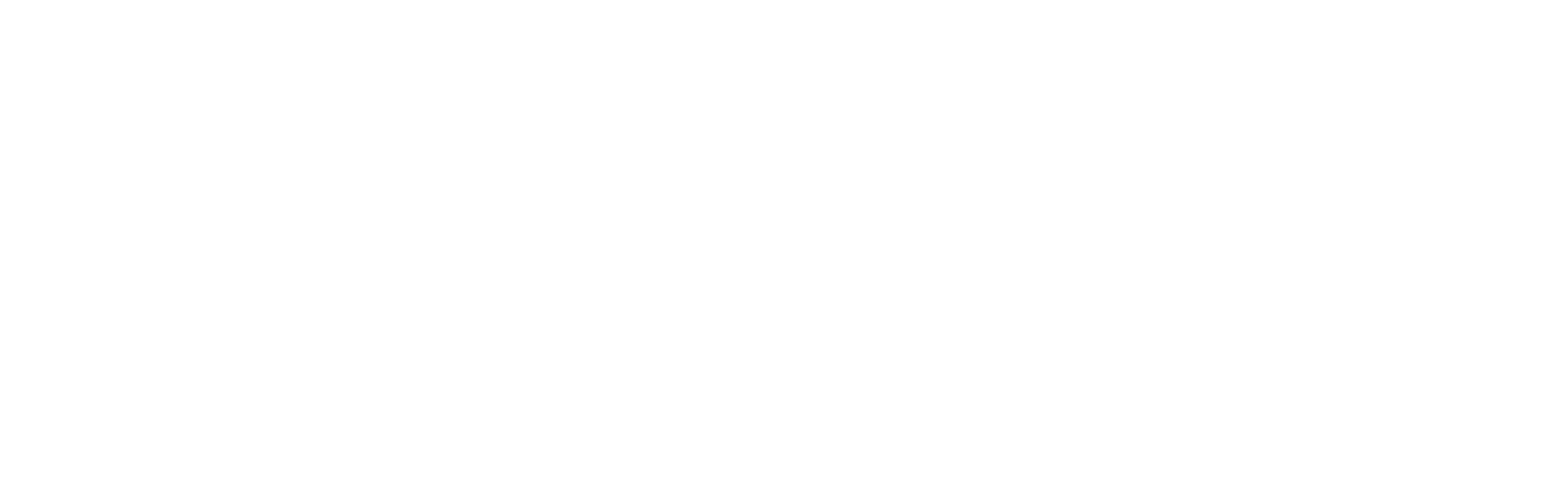 ASEAN CX & Loyalty Summit logo